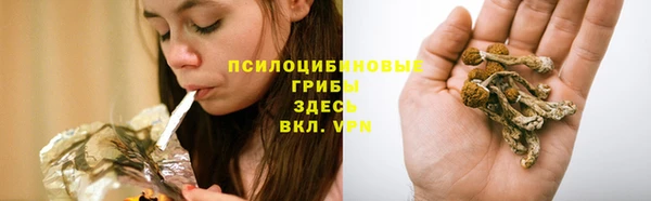 мдма Краснослободск